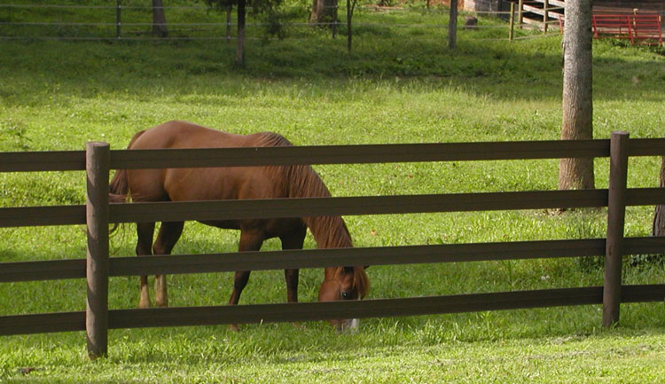 4 rail Brown Centaur HTP® Fence