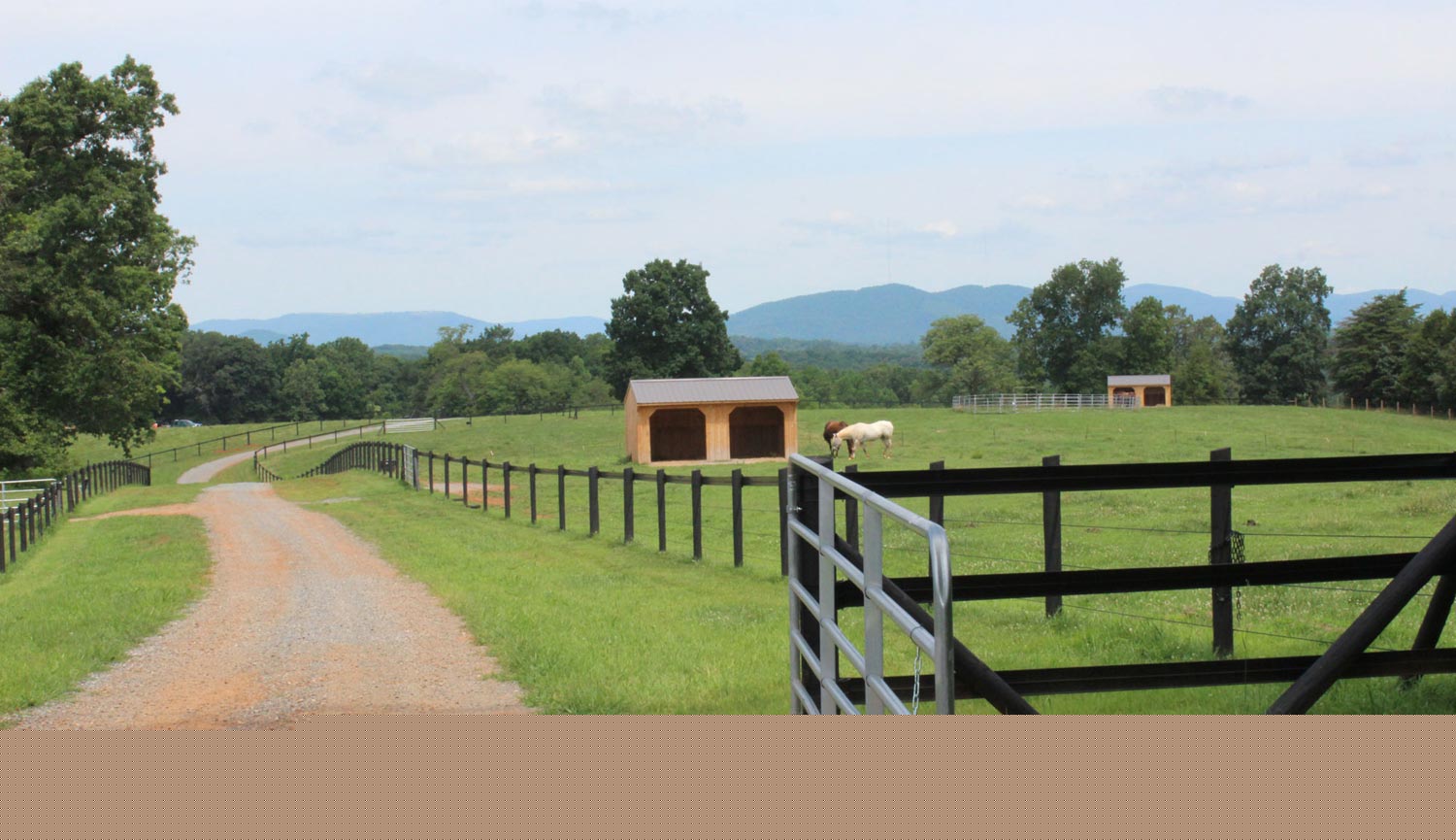 Horse Fence